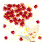 .gif / 10.1KB