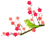 �N���b�N�Ŋg��\�� ( .gif / 14.2KB )