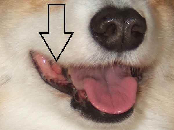 JPEG / 80.9KB
