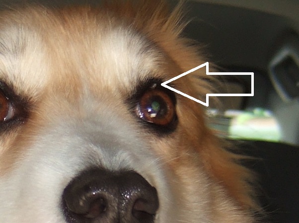 JPEG / 83.0KB
